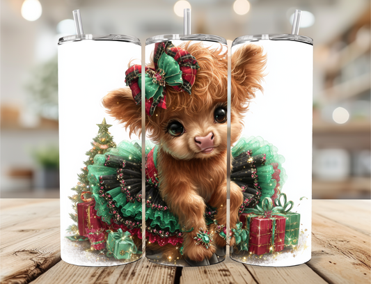Highland Cow