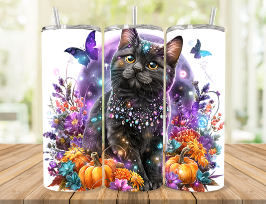 Black Cat