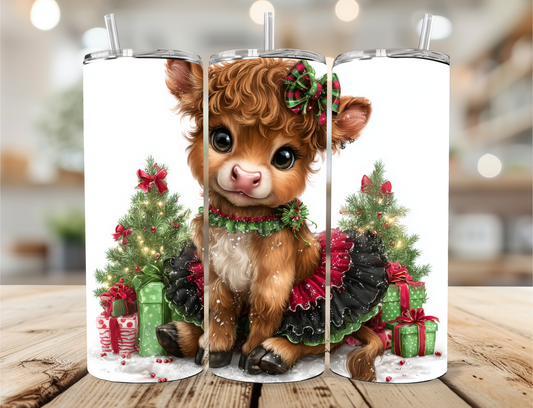 Highland Cow